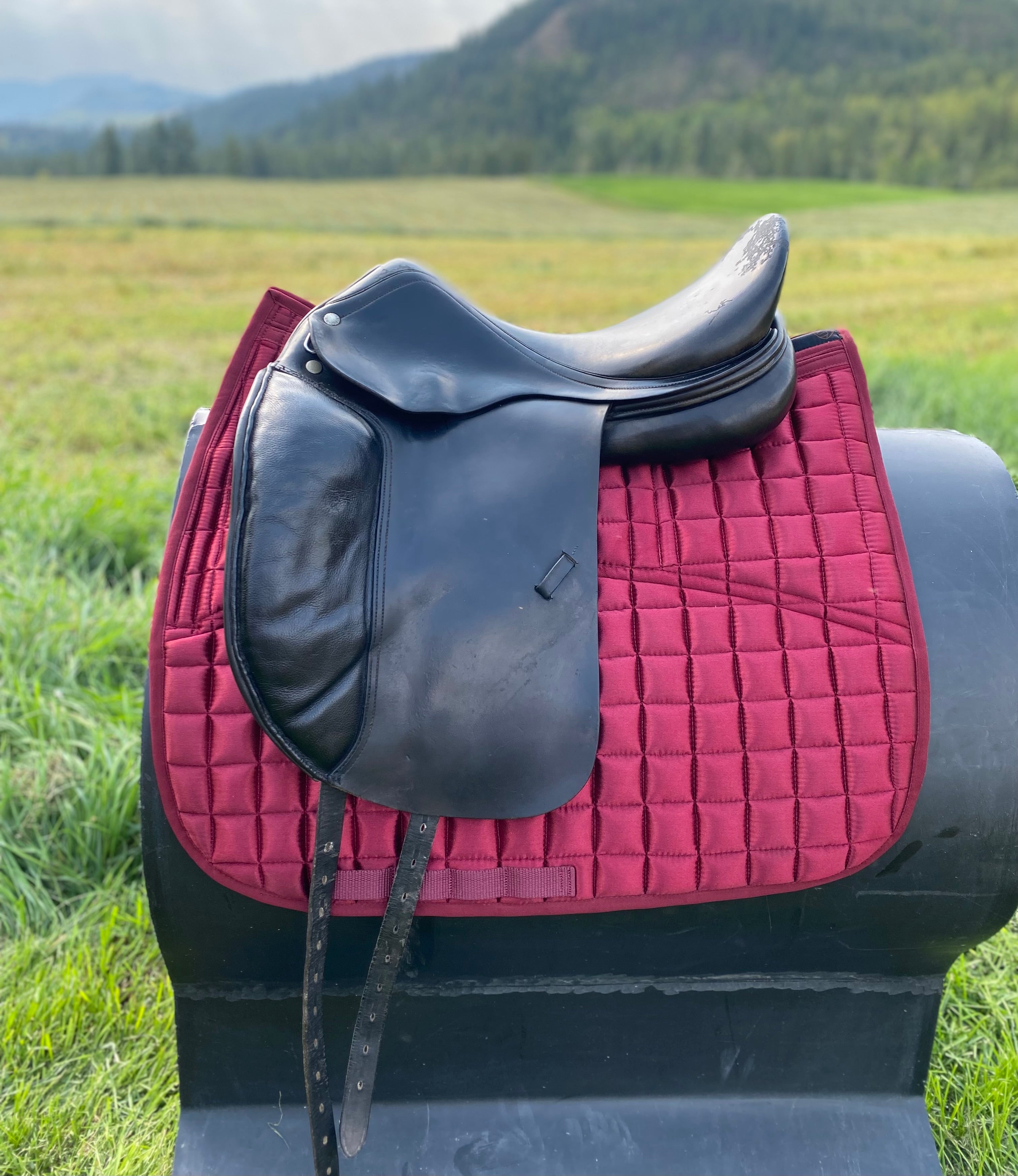 Used Amerigo 17" Dressage Saddle