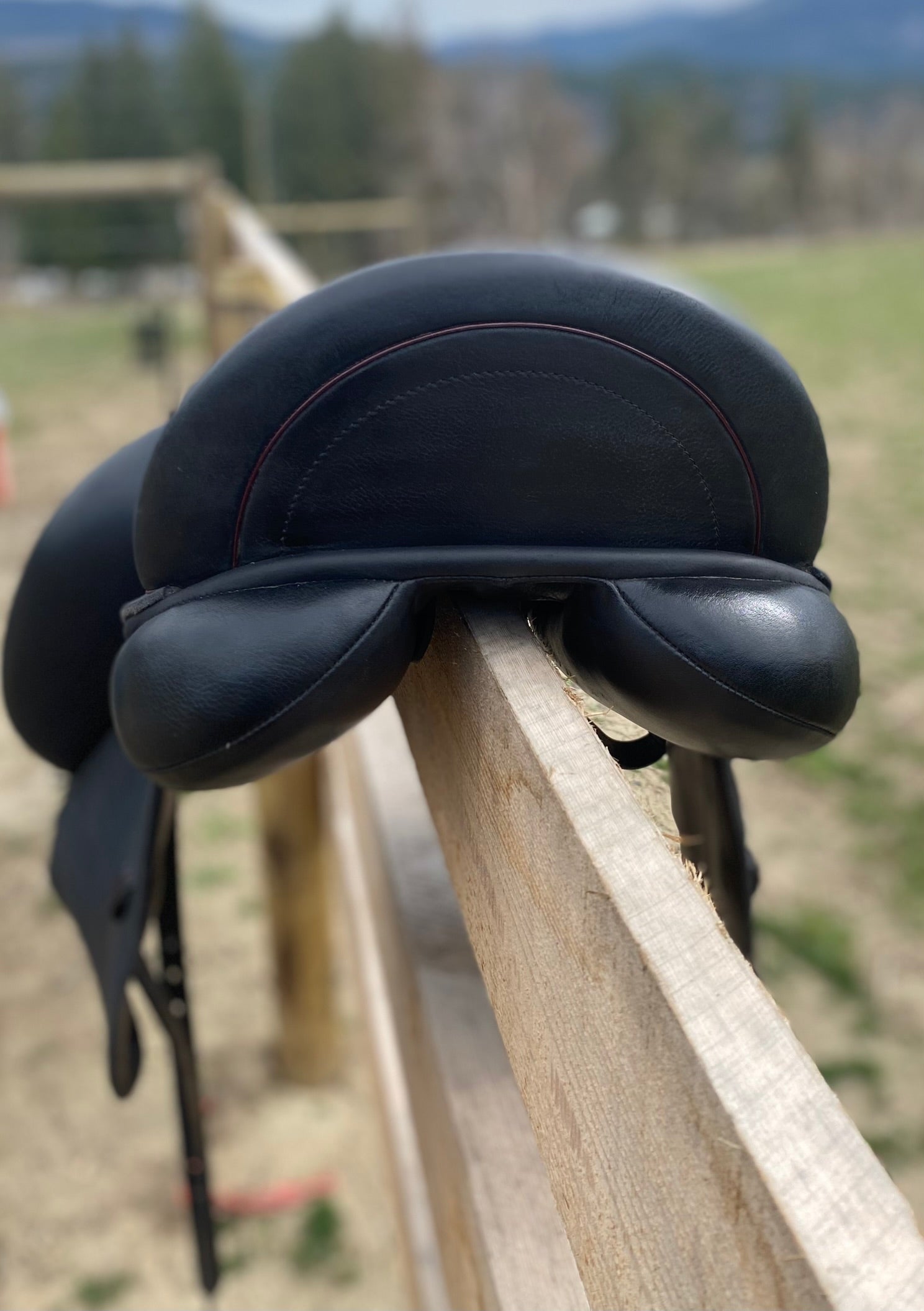 Custom Icon Star 17.5" Dressage Saddle