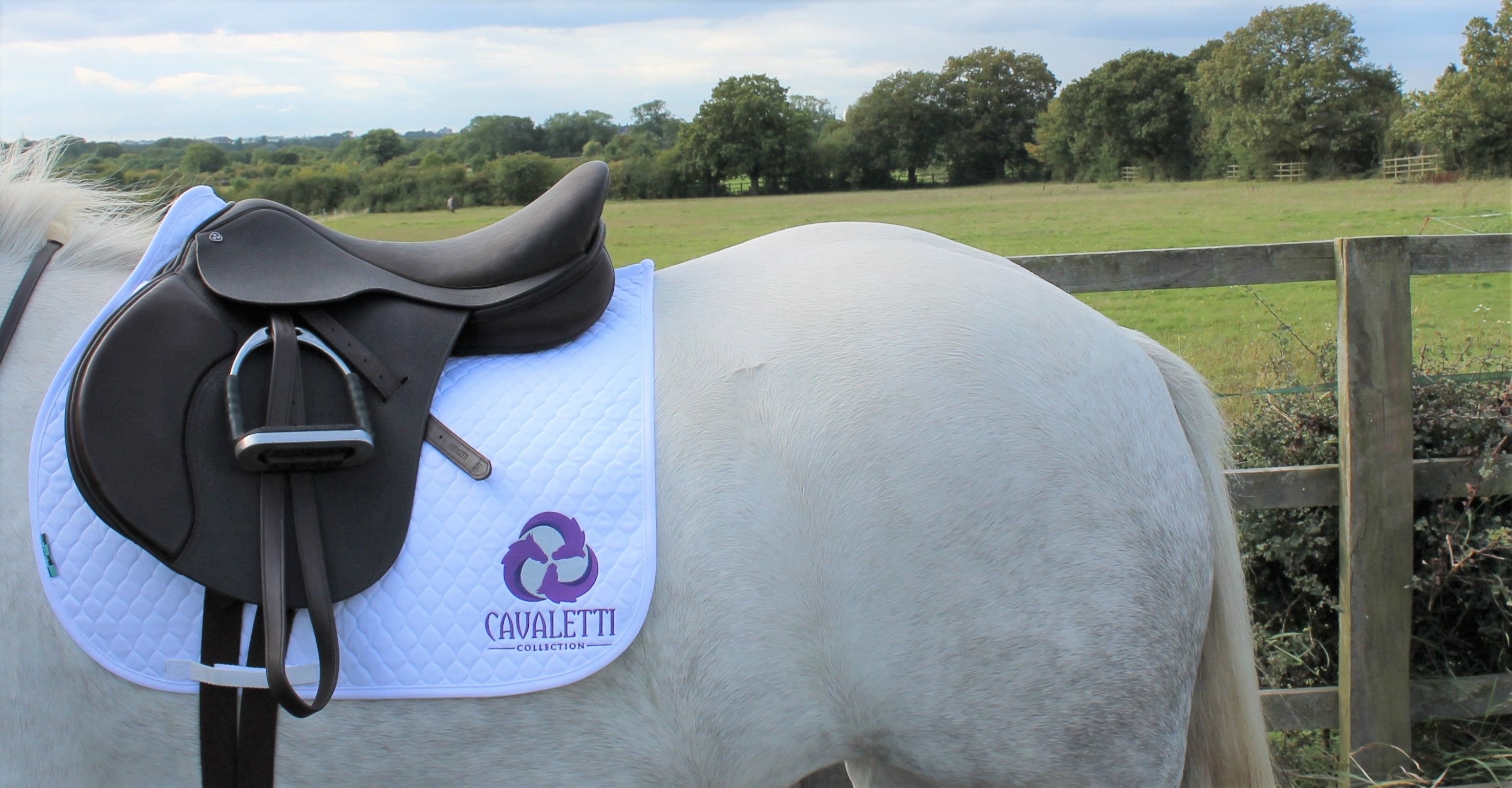 New Cavaletti Collection All-Purpose/GP Saddle
