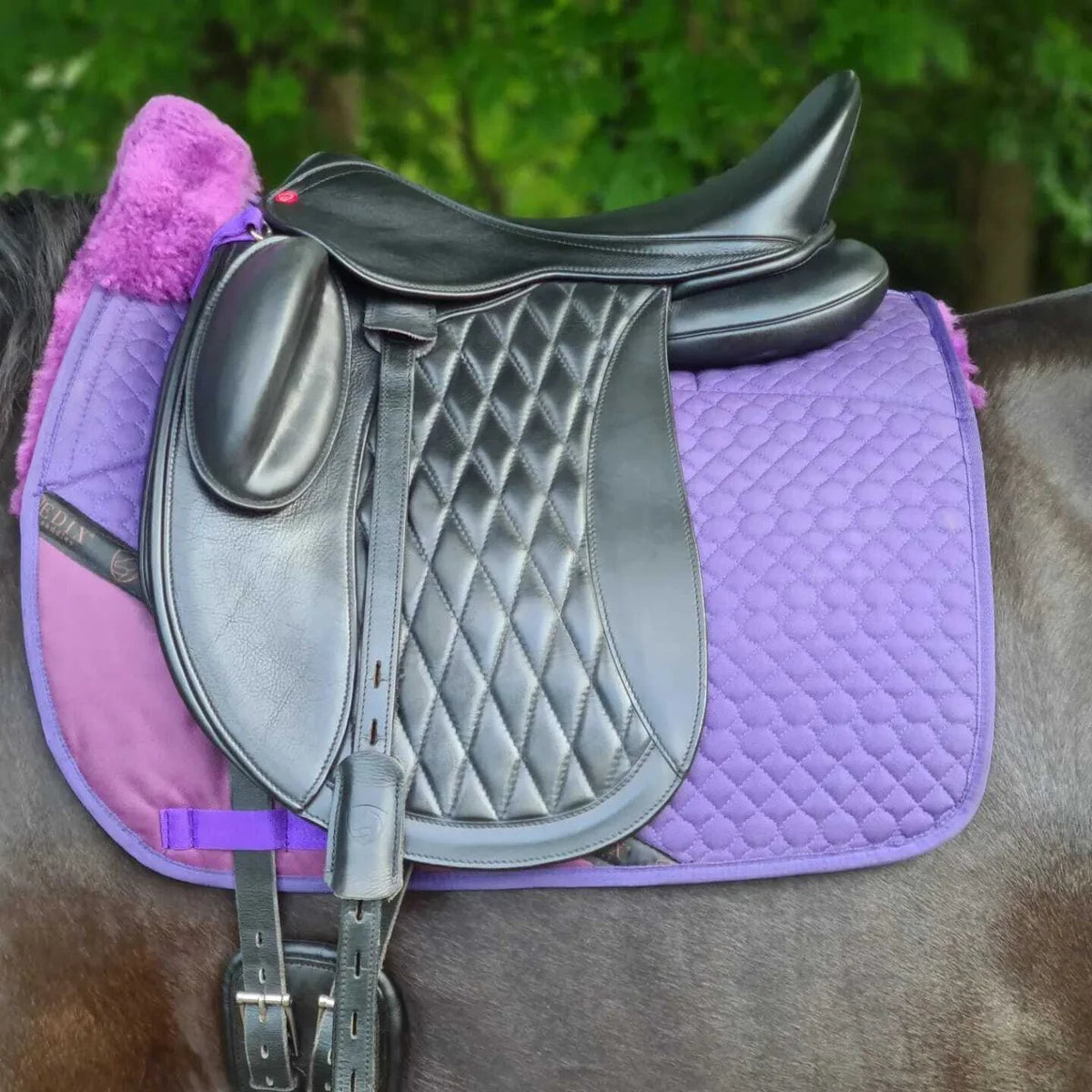 Edix Tariq Dressage Soft Tree Saddle - 17.5"