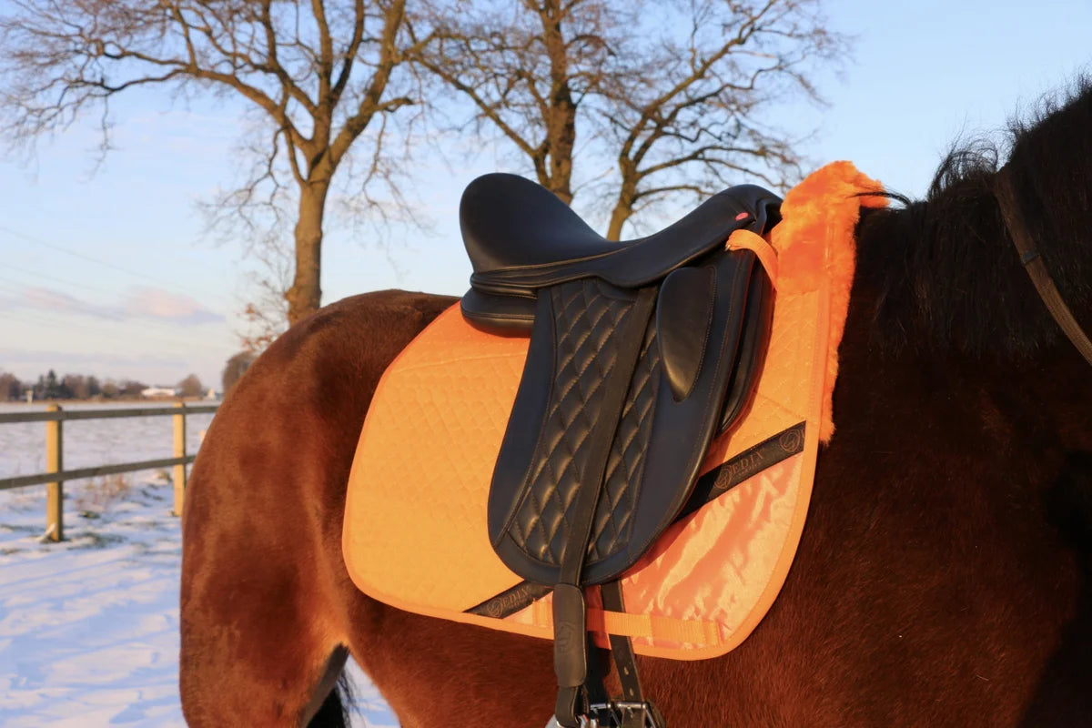 EDIX uni dressuur 8-pocket cotton saddle pad - EDIX Saddles