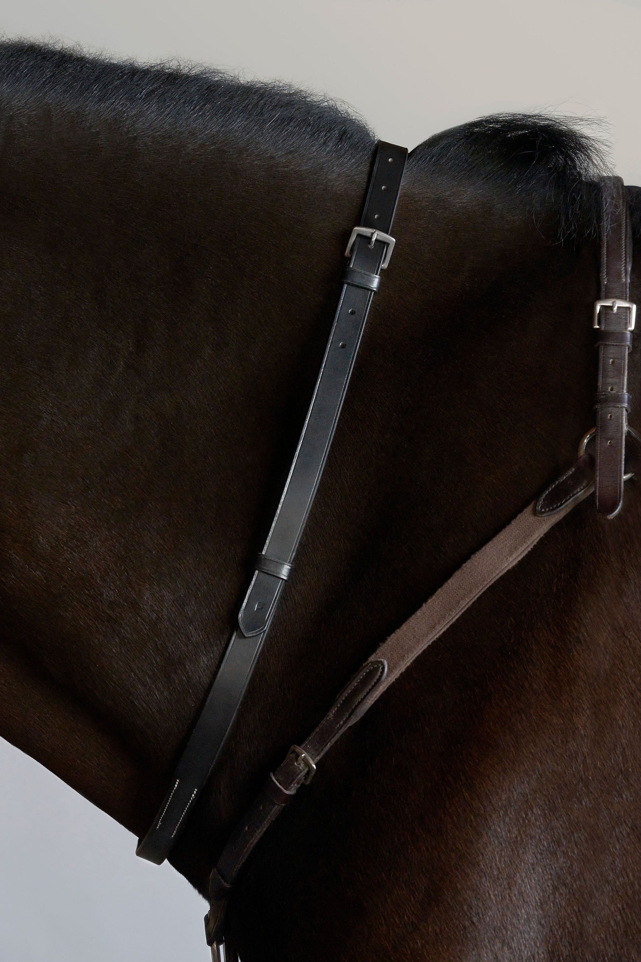 Tapestry Neck Strap and 2 Attachments