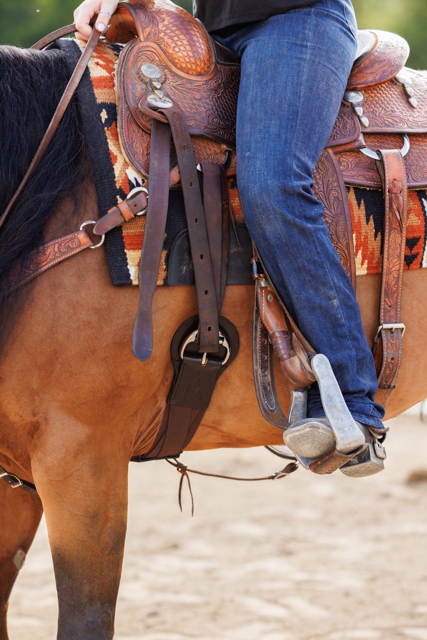 Tapestry Comfort Cinch